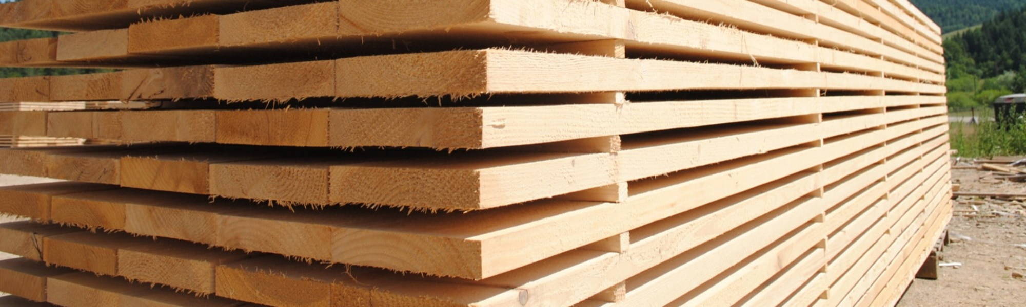 Timber Processing 
